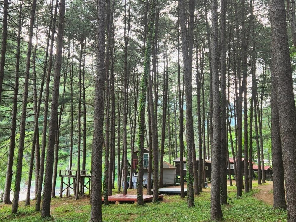 Hongcheon Gongjaksan Recreational Forest Pension Exterior photo